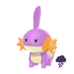 #258 Mudkip (Marked)